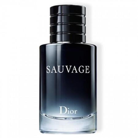 DIOR 迪奥旷野男士淡香水 60ML